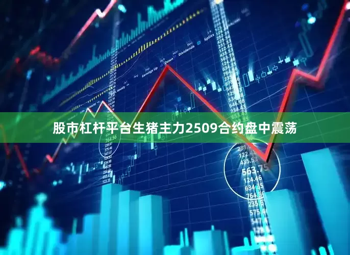 股市杠杆平台生猪主力2509合约盘中震荡