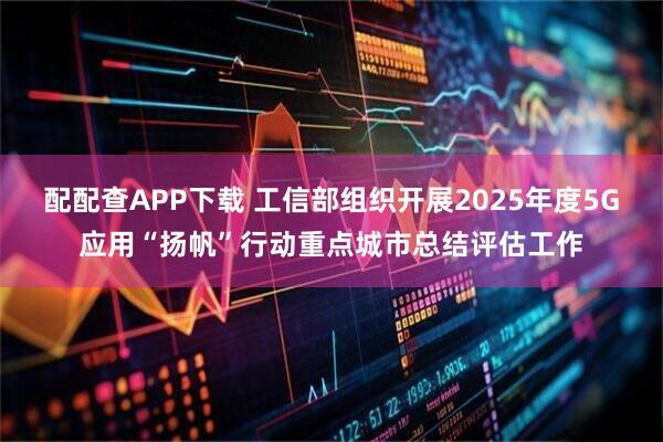 配配查APP下载 工信部组织开展2025年度5G应用“扬帆”行动重点城市总结评估工作