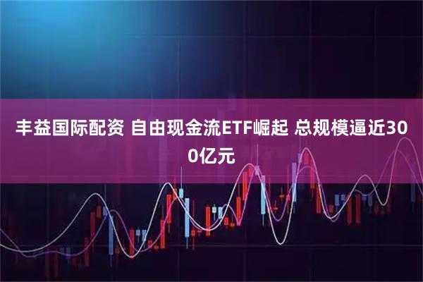 丰益国际配资 自由现金流ETF崛起 总规模逼近300亿元